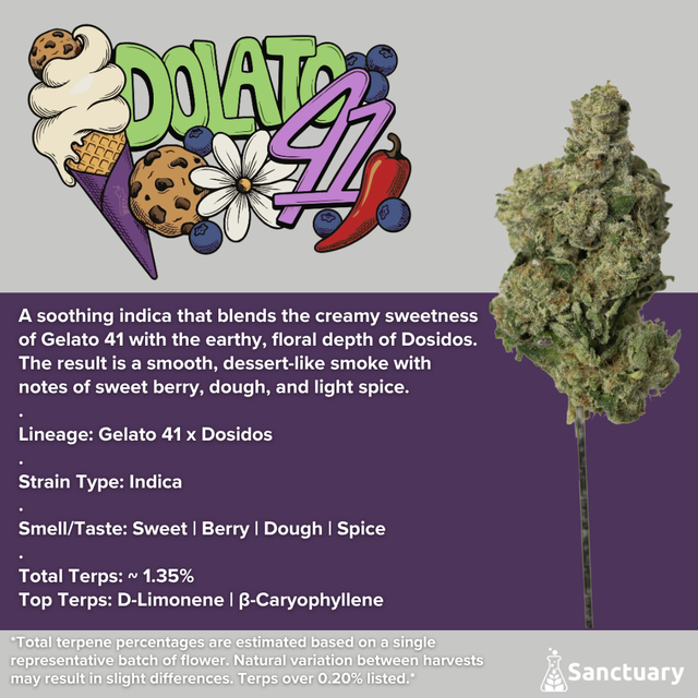 Dolato 41 Sanctuary