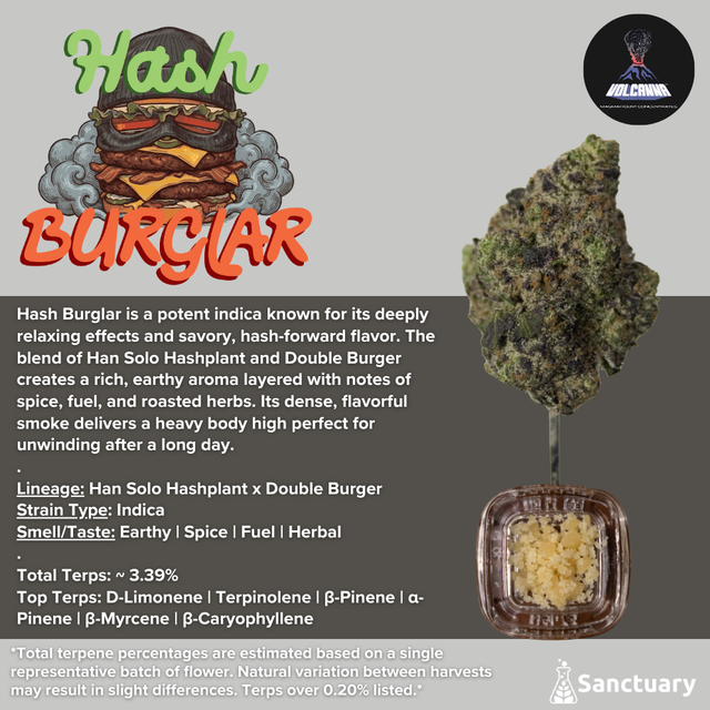 Baller Jar - Hash Burglar - Cured Resin Volcanna