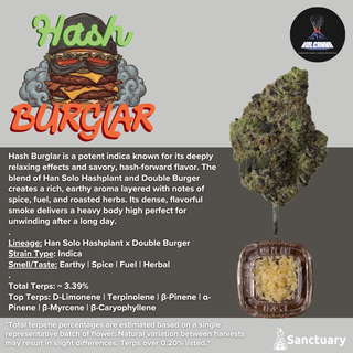 Hash Burglar - Cured Resin Volcanna