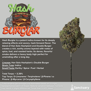 Hash Burglar Sanctuary