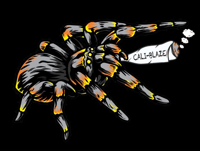 GMO Sherb King Tarantula Cali Blaze