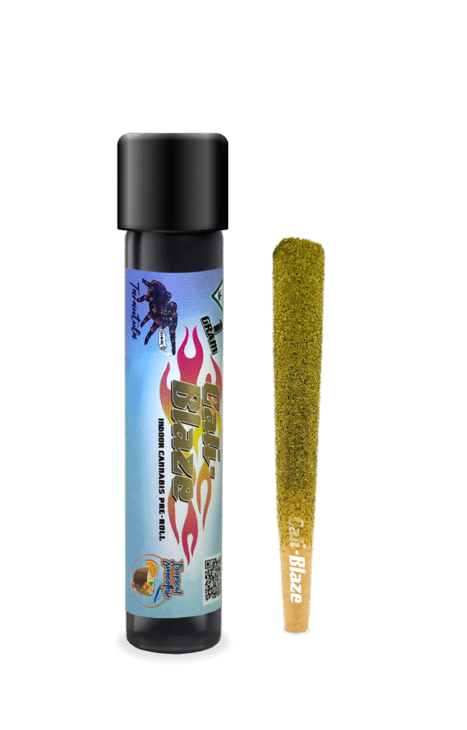 Tarantula Tropical Smoothie Cali Blaze