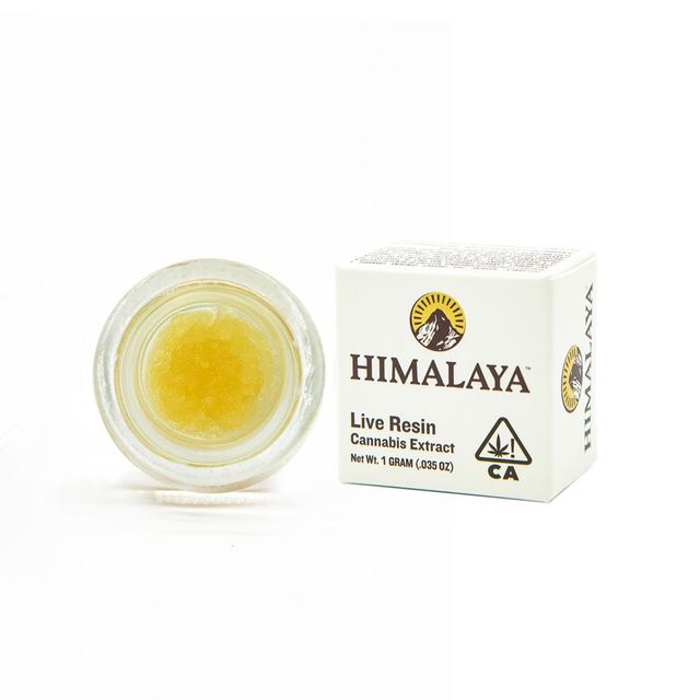 HIM Dabs - 1G Jar - Gary Payton (H) Himalaya