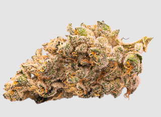Chem Wrecker Focus North