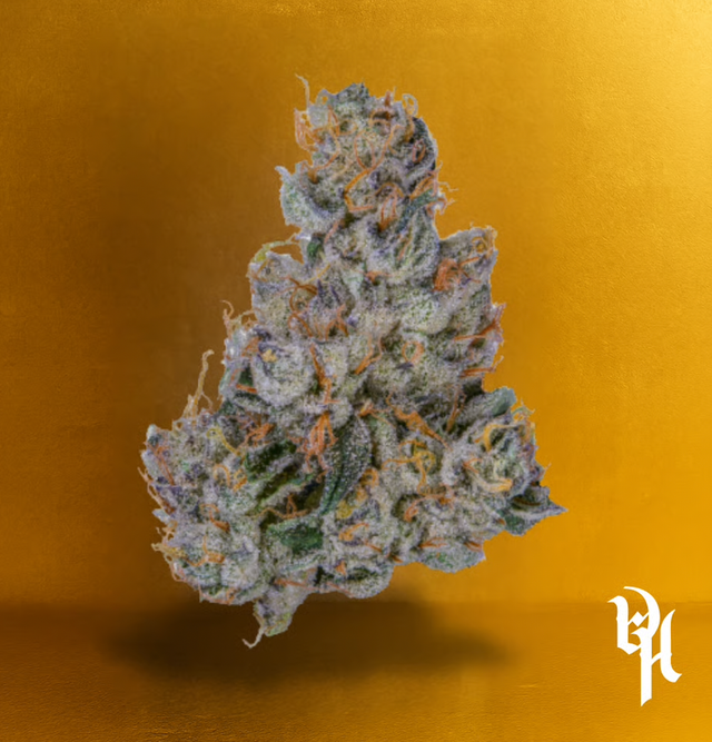 Noxious Doghouse Farms Noxious Doghouse Farms