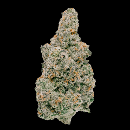 Headband Midnight Fruit Company