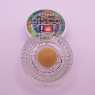 Sweet Jane Disco Dabs