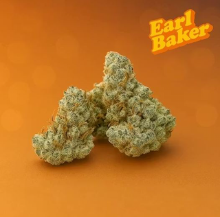 Frozen Slurp Earl Baker