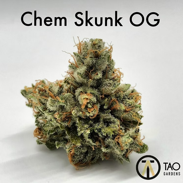 Chem Skunk OG Air-tight Jar Tao Gardens