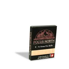Purple Porcelain Focus North