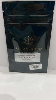 Banana Kush Atlas Seeds