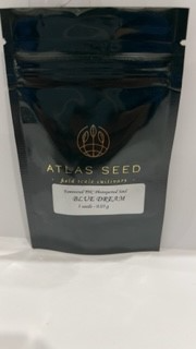Blue Dream