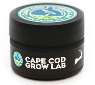 Lemon Cherry Sherbert  Cape Cod Grow Lab