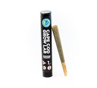 Lions Breath Cape Cod Grow Lab