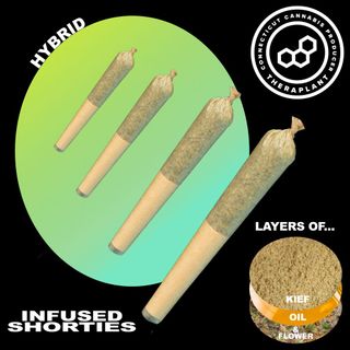 Solid State Infused Theraplant