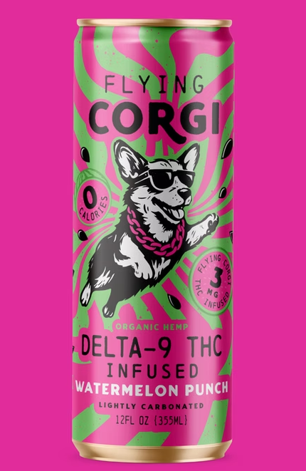 Watermelon Punch Flying Corgi