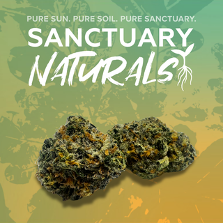 Rainbow Sherbert Sanctuary Cannabis