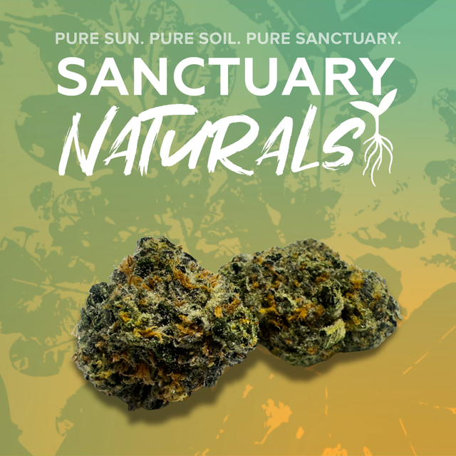 Rainbow Sherbert Sanctuary Cannabis