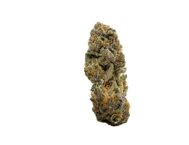 My Oh My | Gud Gardens Bulk