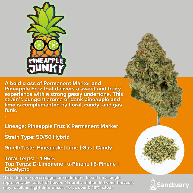 Pineapple Junky Sanctuary
