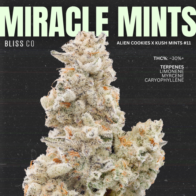Miracle Mints Bliss Co Miracle Mints Bliss Co