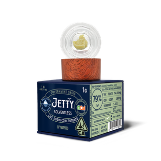 Governmint Oasis JETTY