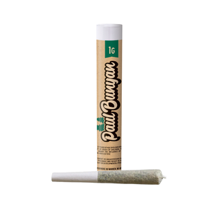 Cocomamba Paul Bunyan