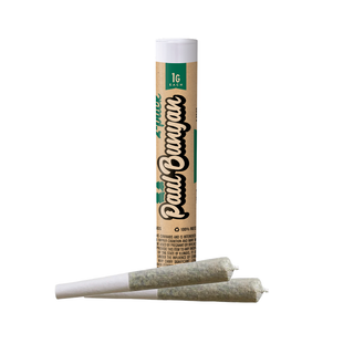 Garlic OG Paul Bunyan