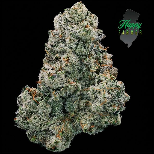 On Point Happy Farmer