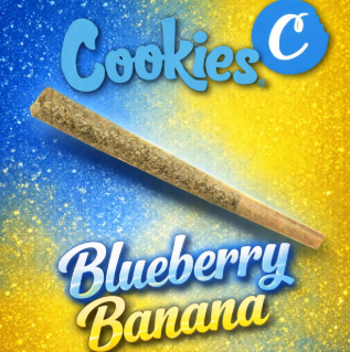 Blueberry Banana Cookies