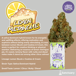 Cannabis Promo, Cannabis Sales, Cannabis Discounts, Cannabis on Sale, Terp Takeover! 3