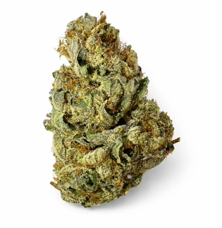 Rainbow Gelato SP Farms