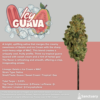 Icy Guava Sanctuary