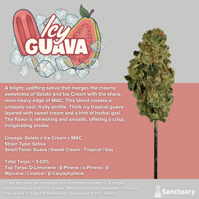 Icy Guava Sanctuary