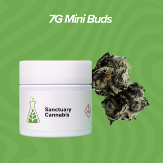 Cannabis Promo, Cannabis Sales, Cannabis Offers, Cannabis on Sale, 7g Mini Buds $28 Each 1