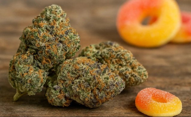 Blossom Flower Peach Rings 1g