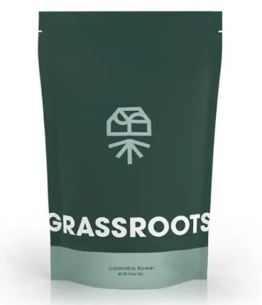 Blue Lobster Popcorn Grassroots