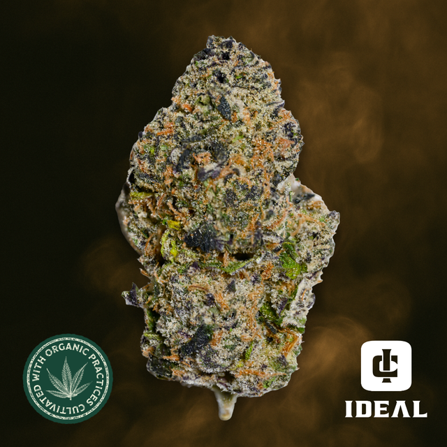 Grape Gas (THC 23.6%) Ideal Cannabis Grape Gas (THC 23.6%) Ideal Cannabis