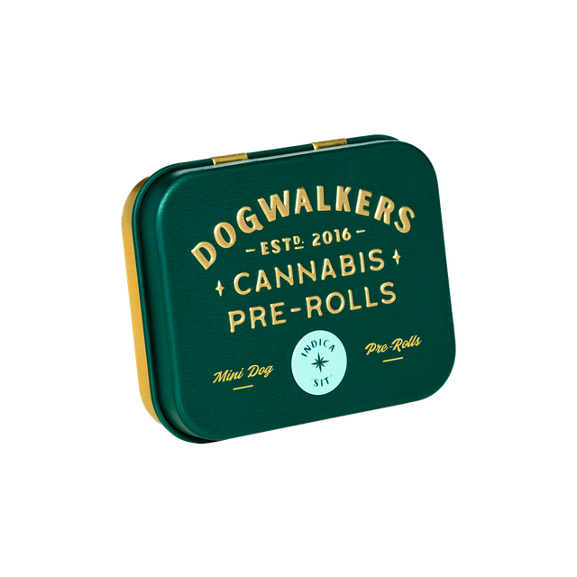 Animal Scout #10 Dogwalkers