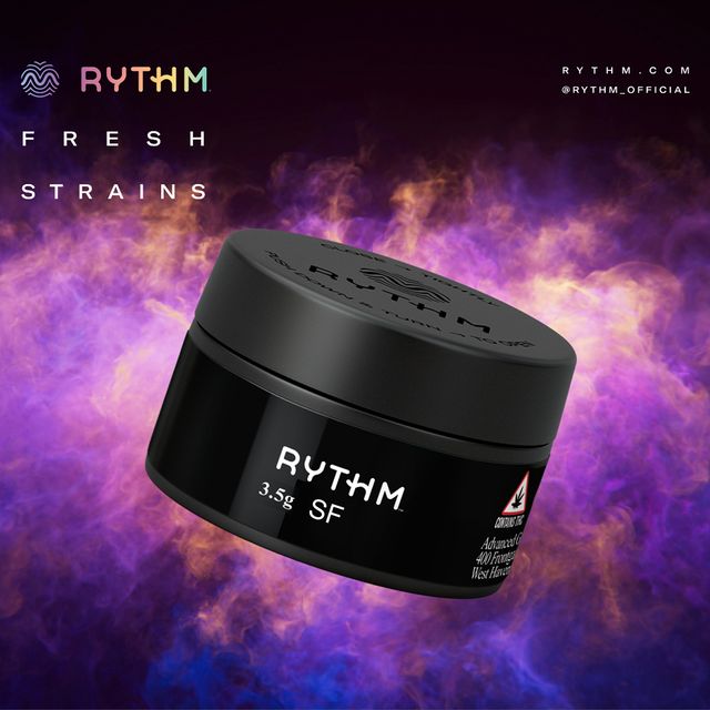 Animal Scout #10 Rythm