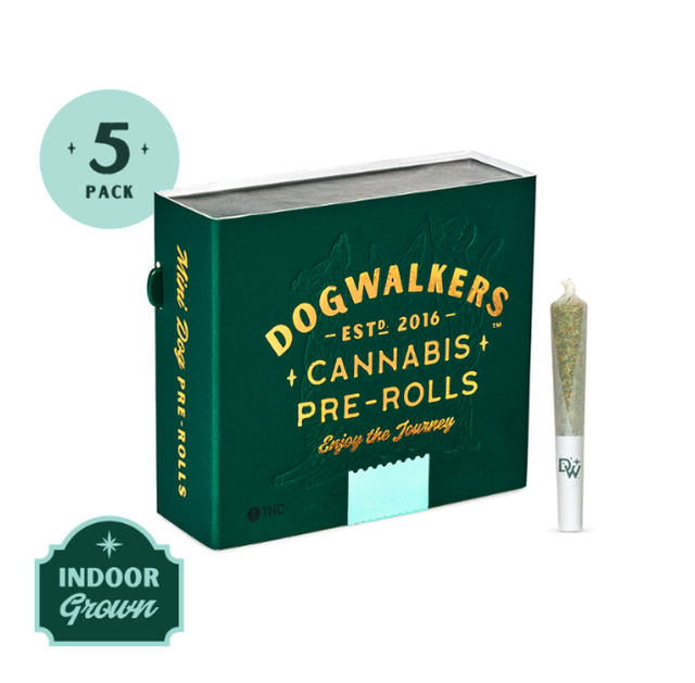 Brownie Scout Dogwalkers