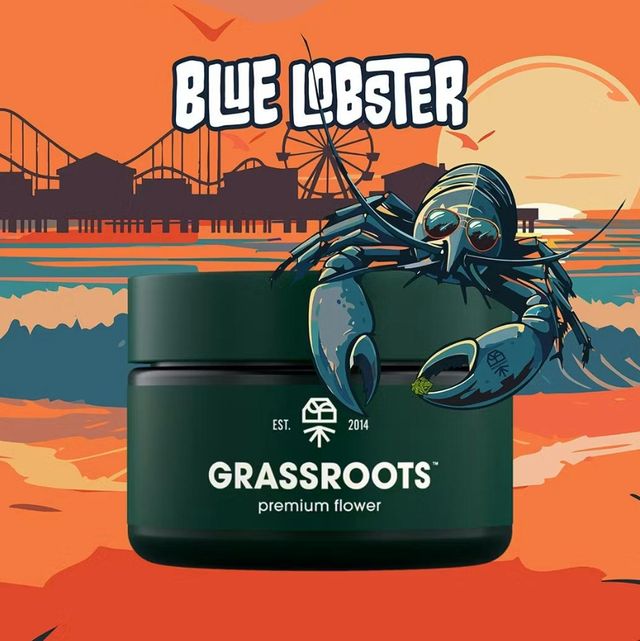 Blue Lobster Grassroots