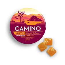 Pineapple Habanero Camino