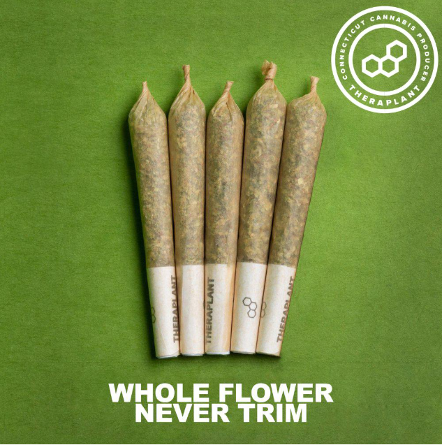 Theraplant Banapple Medellin Shorties 5pk