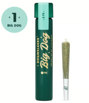 Dogwalkers Sit Runtz Pre-Rolls 1g