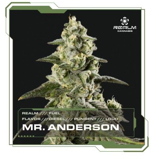 Mr. Anderson | Fuel | Flower Realm