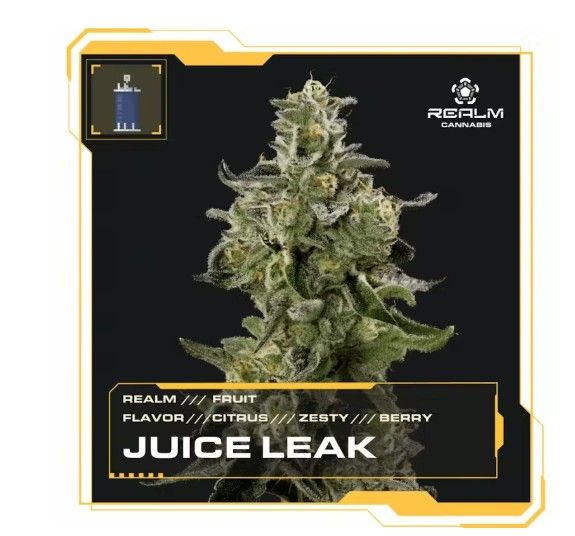 Juice Leak| Citrus | Flower Realm