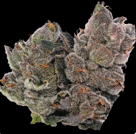 The Essence Dosilato 3.5g