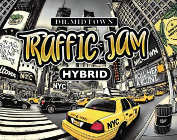 Dr. Midtown Traffic Jam Hash Infused 0.5g | 2 pack
