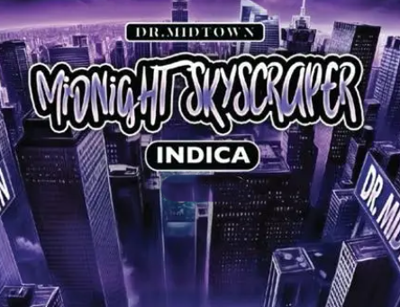 Dr. Midtown Midnight Skyscraper Hash Infused 0.5g | 2 Pack